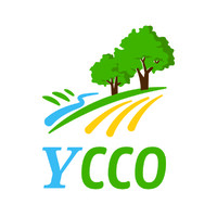 Yamhill Community Care is hiring for remote Technical Project Manager (IS)