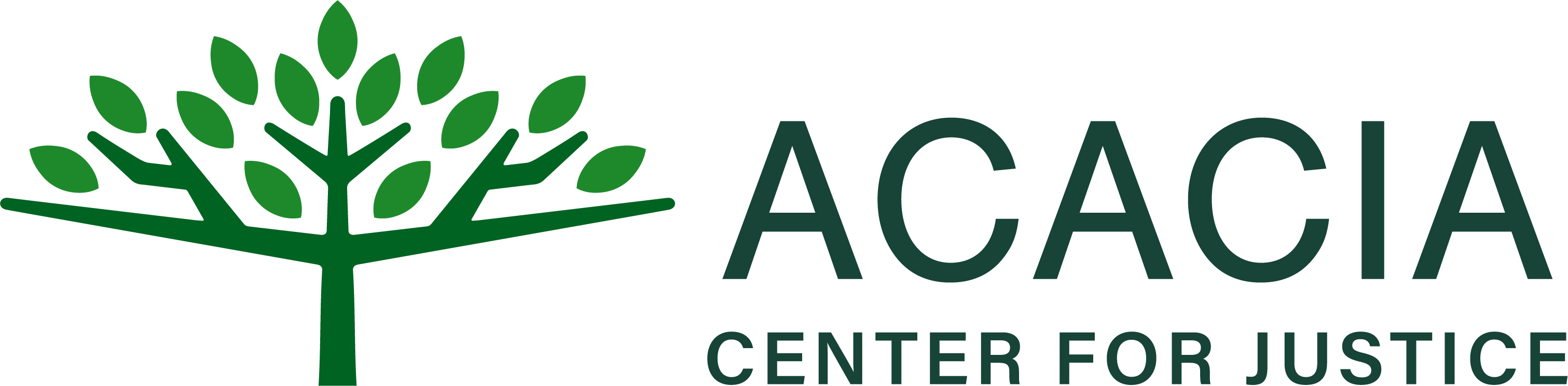 Acacia Center for Justice is hiring for remote Associate Director for Habeas Bridge Project