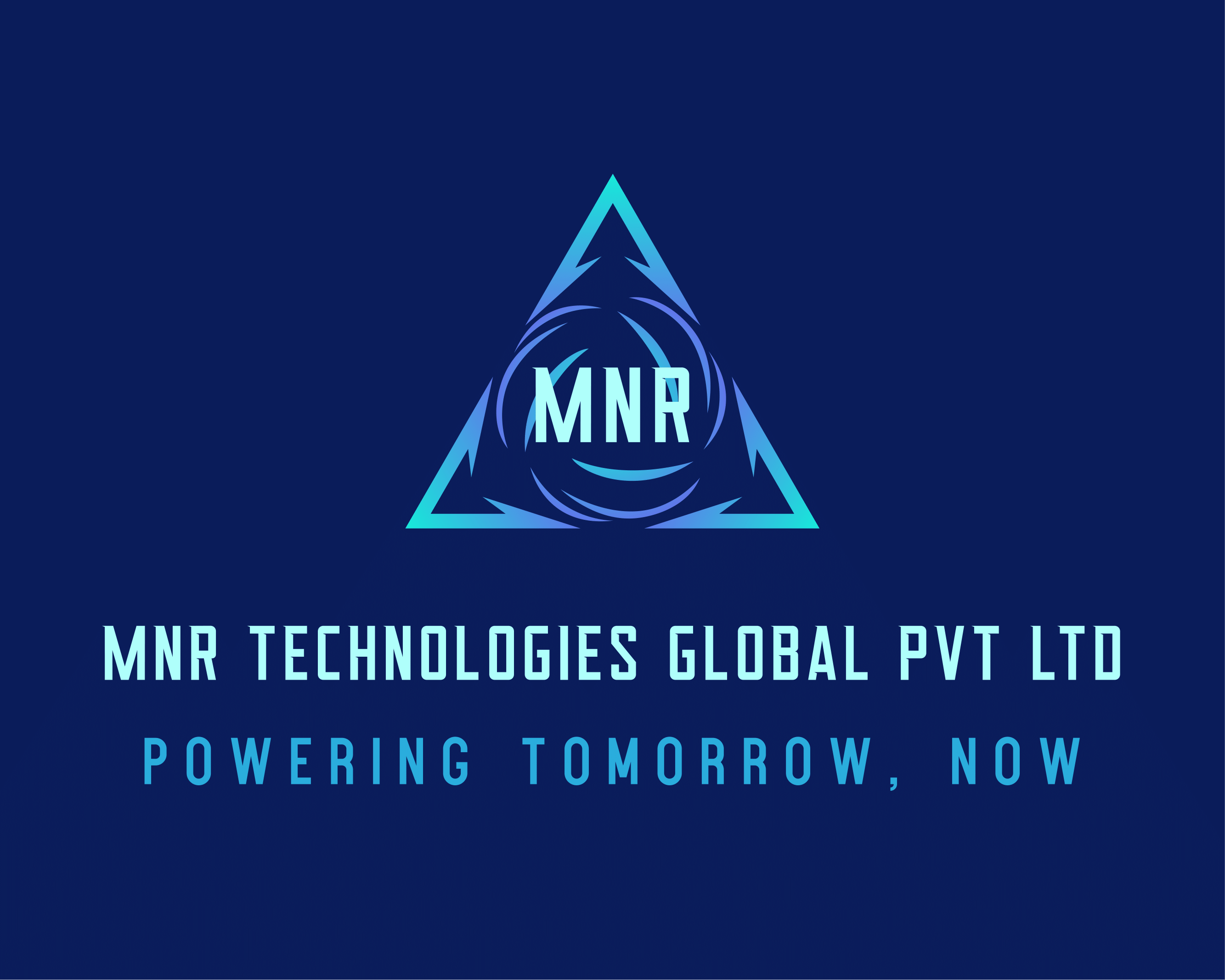 MNR Technologies Global Private Limited is hiring for remote Senior IT Sales Manager