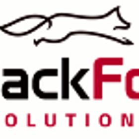 Black Fox Solutions is hiring for work from home roles