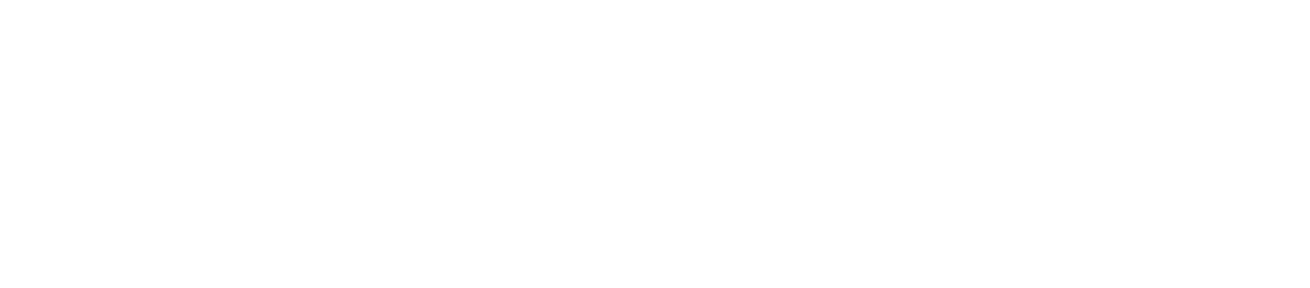 Brainstack logo
