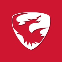 Skyeton is hiring for remote Recruiter