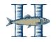 The Herring Group is hiring for remote Financial Leadership Partner CFO-Level Consultant