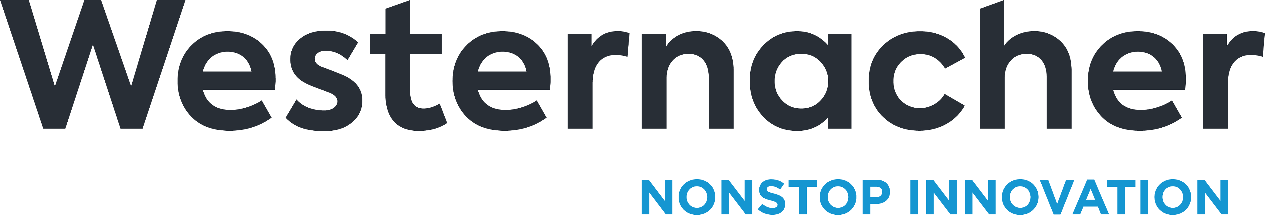 Westernacher Consulting logo