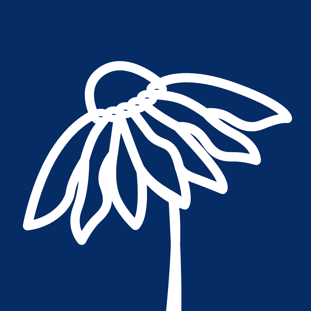 PrairieLearn, Inc. is hiring for remote Learning Content Engineer