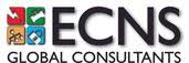 ECNS Global Consultants PLLC is hiring for remote Commissioning Engineer