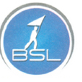BSL Placement Pvt Ltd is hiring for work from home roles