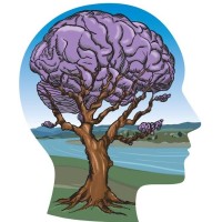 Humboldt Neurohealth is hiring for remote Clinical Program Manager