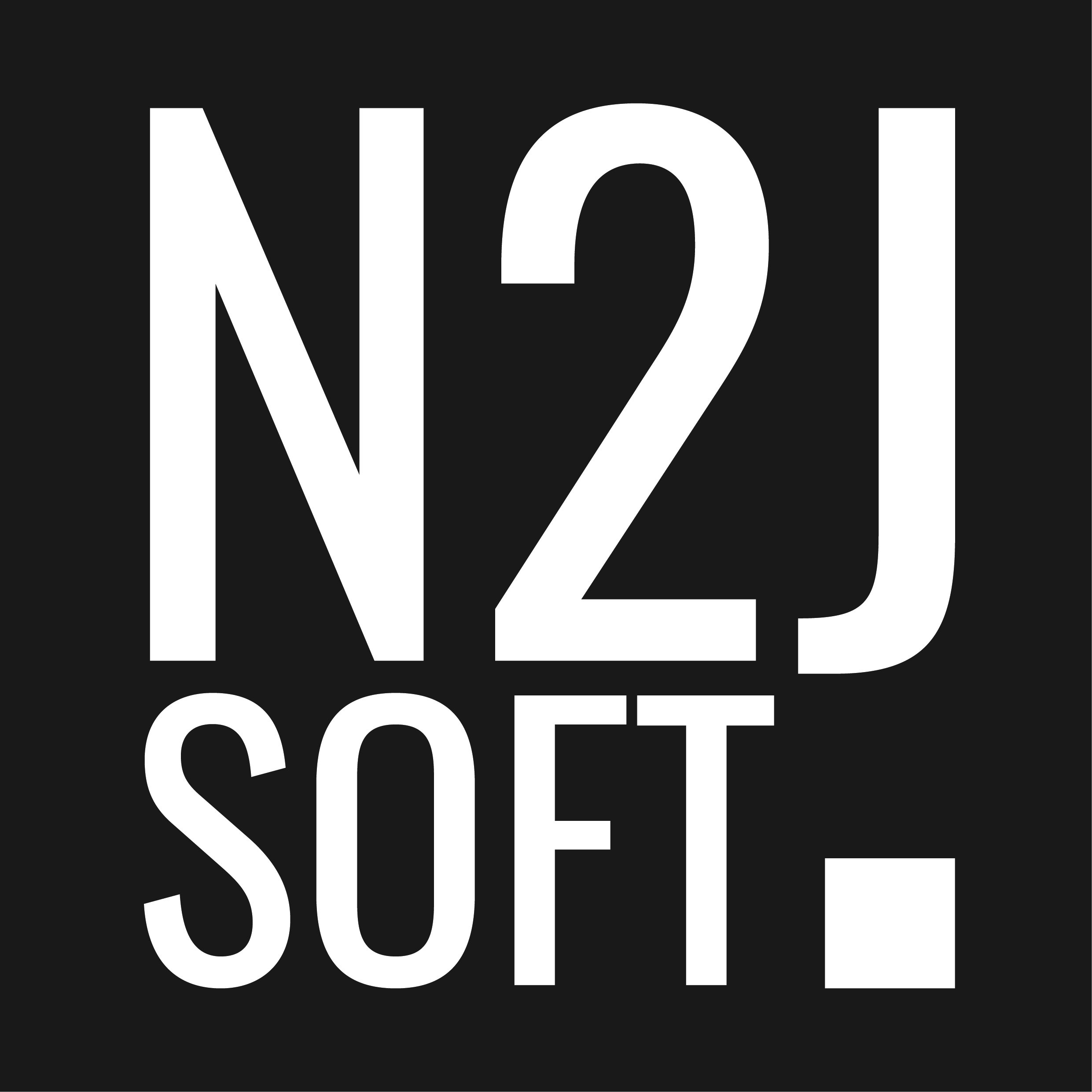 N2JSoft logo