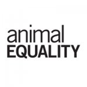 Animal Equality is hiring for work from home roles