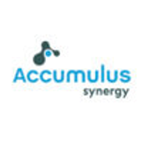 Accumulus Synergy is hiring for remote Security Program Delivery Manager