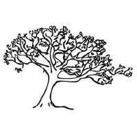 Silver Maple is hiring for remote Project Manager, Aviation