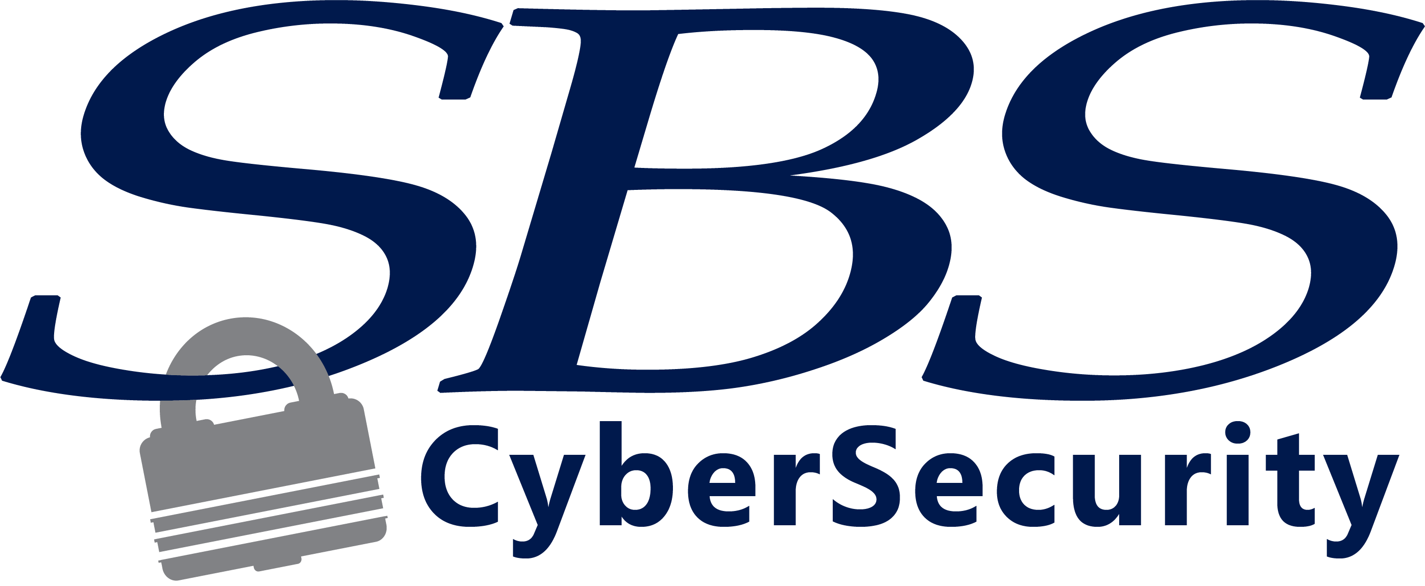 SBS CYBERSECURITY LLC logo