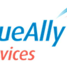 BlueAlly Services, LLC is hiring for work from home roles
