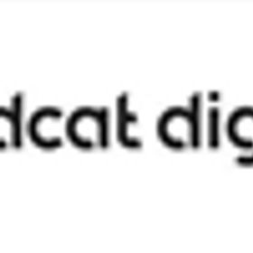 RedCat Digital is hiring for work from home roles