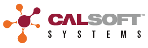 Calsoft Systems is hiring for remote ERP Consultant/Project Lead