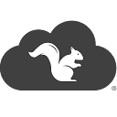 Squirrels, LLC logo