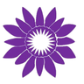 Corduene International Foundation is hiring for remote Finance Manager