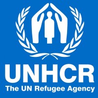 UNHCR, the UN Refugee Agency is hiring for remote Financial Inclusion Consultant