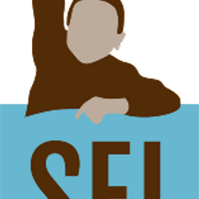 Self Enhancement, Inc. logo