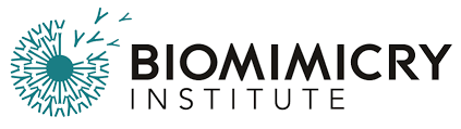 The Biomimicry Institute is hiring for remote Director of Communications