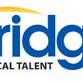 Bridge Technical Talent is hiring for work from home roles