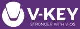 V-Key Pte Ltd is hiring for remote Finance Manager