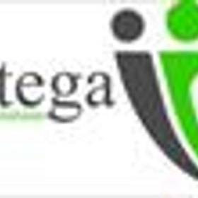 Intega IT is hiring for work from home roles