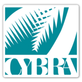 CYBRA Corporation is hiring for work from home roles