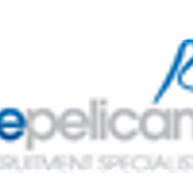 Blue Pelican is hiring for work from home roles