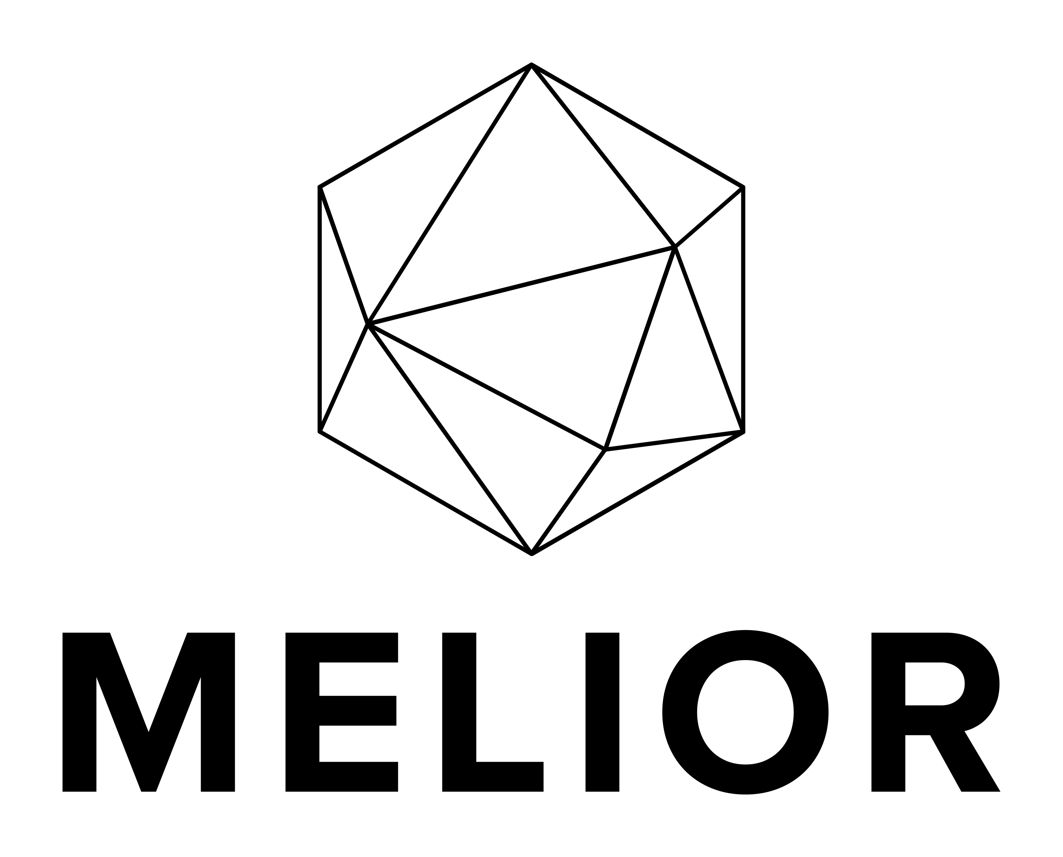 Melior is hiring for remote AI Program Manager