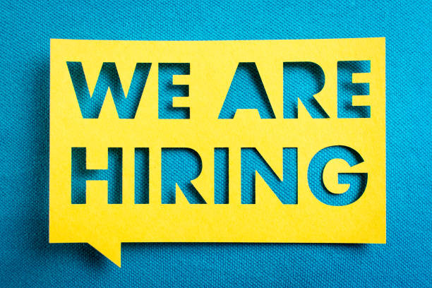 DNB İNSAN KAYNAKLARI is hiring for remote AI/ML Engineer