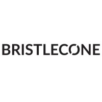 Bristlecone is hiring for remote Technical Lead - Cloud & Application Engineering-Project Management