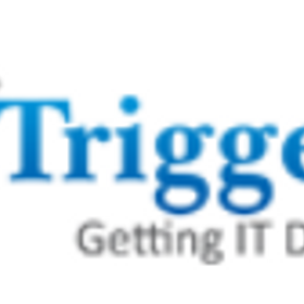 Trigger IT LLC is hiring for work from home roles