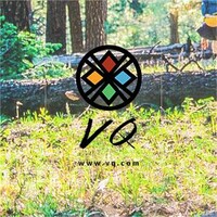 VQ is hiring for remote Case Manager 