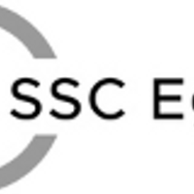 SSC Egypt is hiring for remote Relationship Officer - 5 percent disabilities