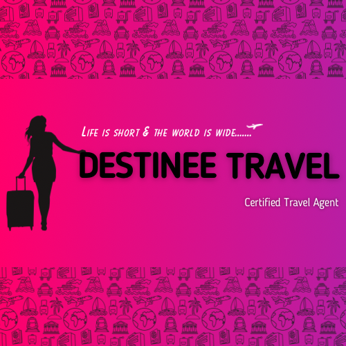 Destinee Travel logo