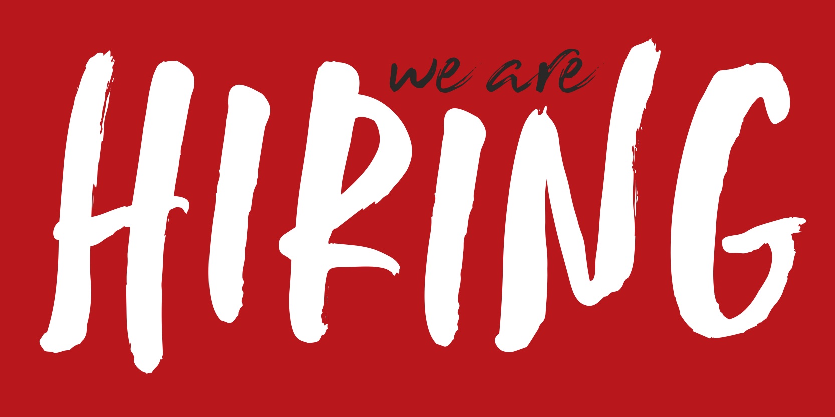 Curve is hiring for remote Payroll Specialist (6 Month FTC)