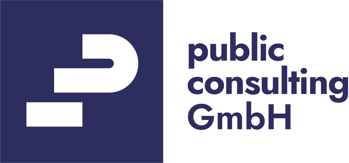 public.consulting GmbH is hiring for work from home roles