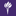 New York University is hiring for remote Per Diem Clinician – Counseling and Wellness Services