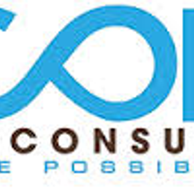 Scope IT Consulting is hiring for work from home roles