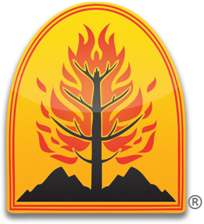 Wildfire Defense Systems, Inc. is hiring for remote Software Developer 2