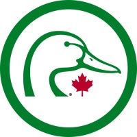Ducks Unlimited Canada is hiring for remote Program Content Manager