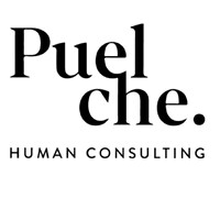 Puelche HC is hiring for remote Contador(a)