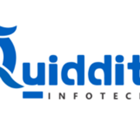 Quiddity Infotech is hiring for work from home roles