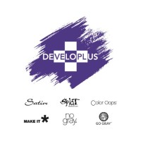Developlus is hiring for remote Director of Professional & Specialty Channel Development