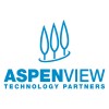 Aspenview Technology Partners is hiring for remote UI Artist 