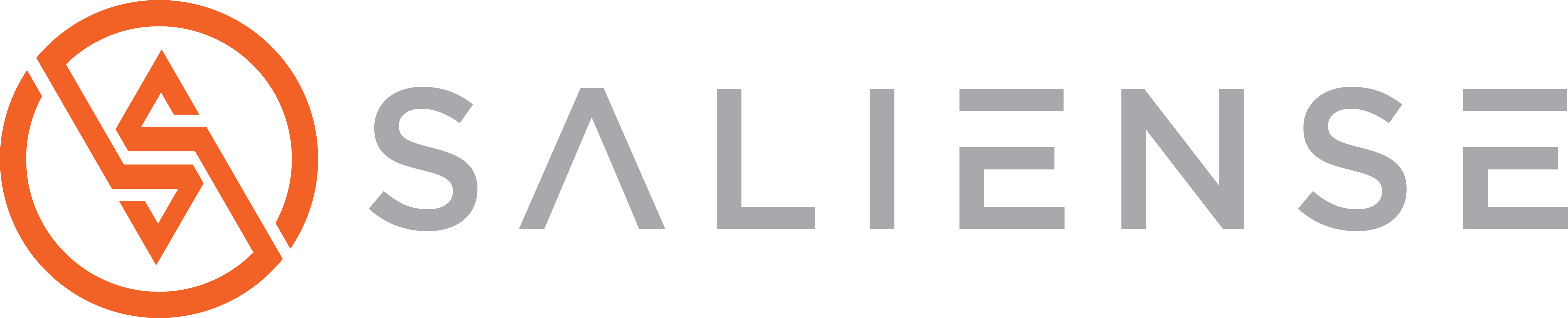 Saliense is hiring for remote GRC Engineer