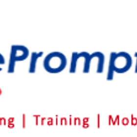 ePromptus Inc. is hiring for work from home roles