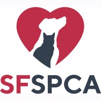 SAN FRANCISCO SPCA is hiring for remote Project Manager, Community Veterinary Medicine Project